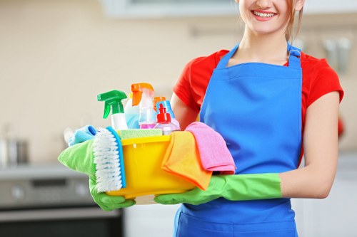 Professional house cleaning service in a N16 home interior