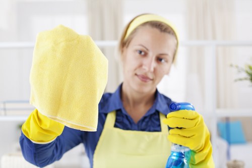 Carpet cleaning pricing discussion for N16 homes and flats
