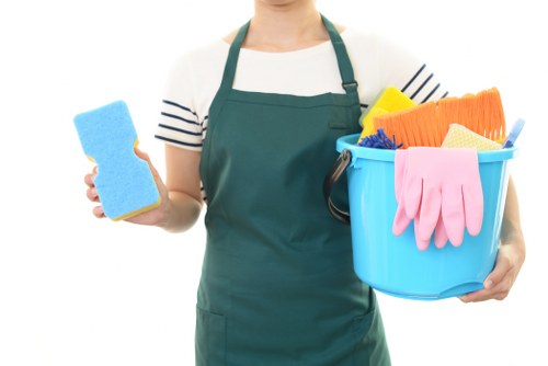 Deep carpet cleaning improving carpet fibres in N16