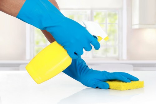 Commercial carpet maintenance carried out by a carpets cleaner in N16