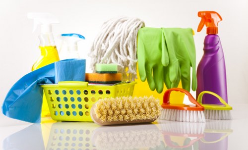 Eco-friendly house cleaning in N16 using safe cleaning products