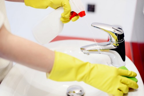 Professional carpet cleaning appointment booking process