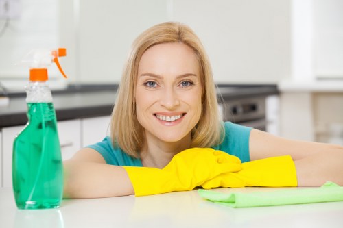 Cleaner treating stains and traffic lanes on a carpet