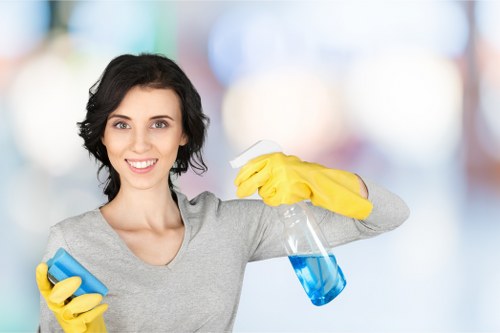 Customer raising a carpet cleaning complaint for review