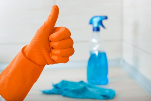 Professional carpet cleaner in N16 restoring a living room carpet