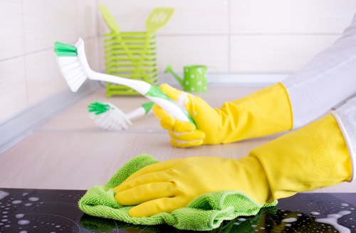 High-quality carpet cleaning N16 service focused on care and results