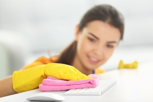 Eco-friendly cleaners in N16 delivering a thorough service