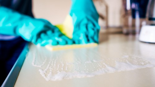 Accessibility review for carpet cleaning services in N16