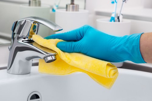 Eco-friendly home cleaning service in N16 for a fresh and organised home