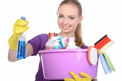 Deep cleaning tasks carried out in a modern N16 home