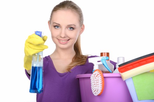 Detailed service concern being recorded for carpet cleaning